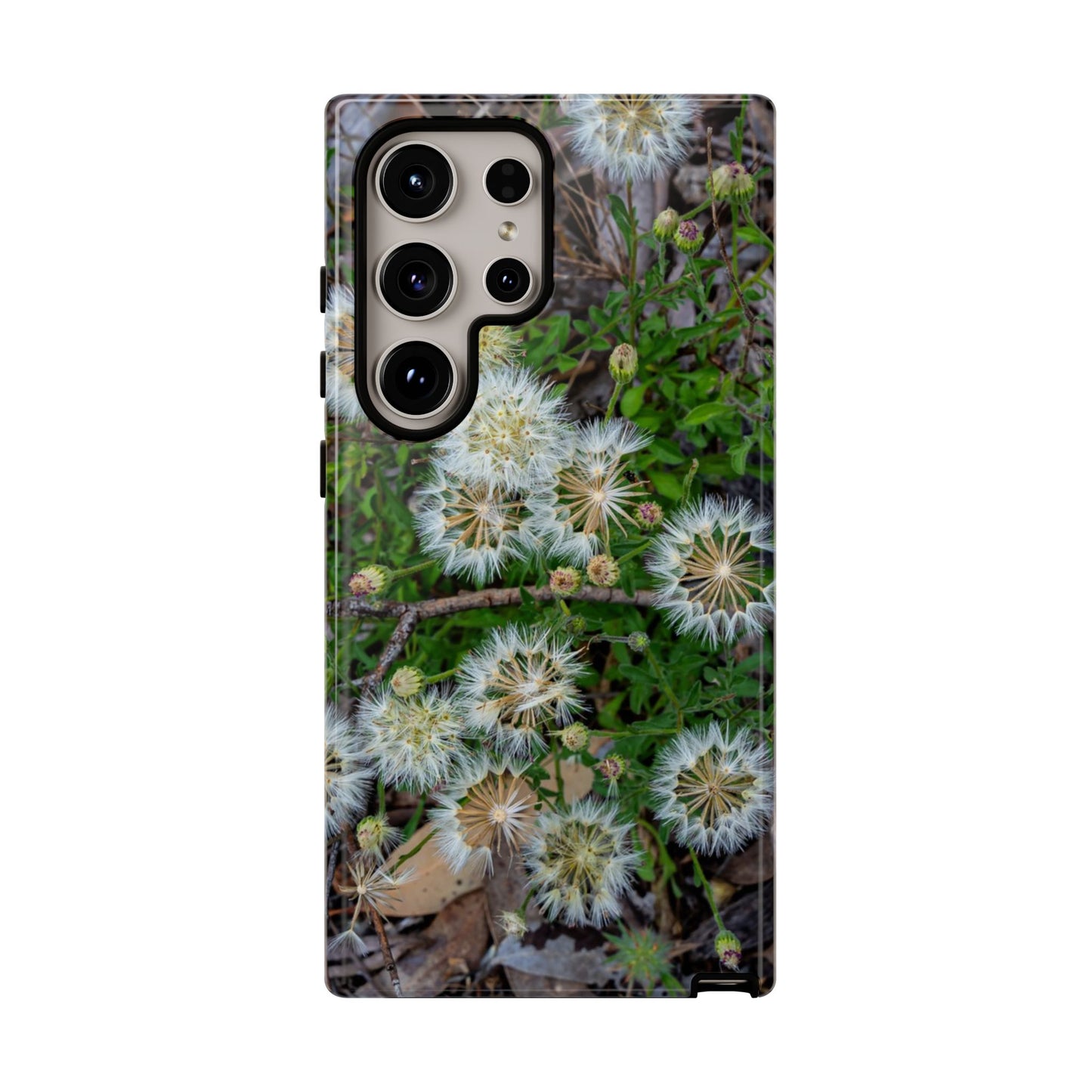 Wildflower Phone Case Australia Samsung Galaxy S24 Ultra Glossy