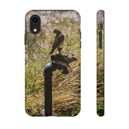 Tough Case - Birds at A Dripping Tap iPhone XR Matte