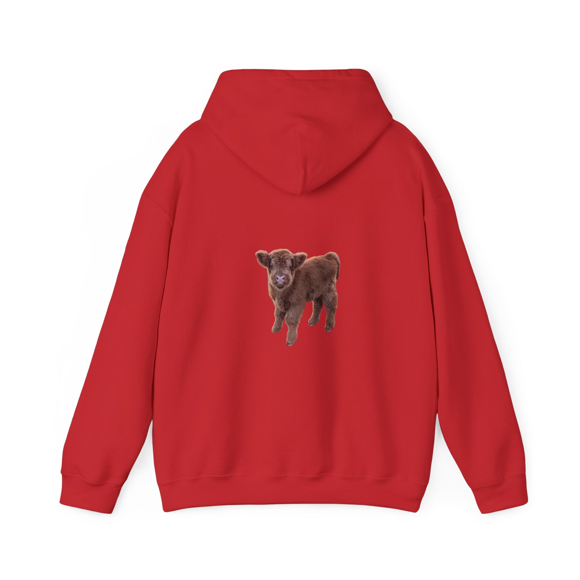 Highland Calf Hoodie