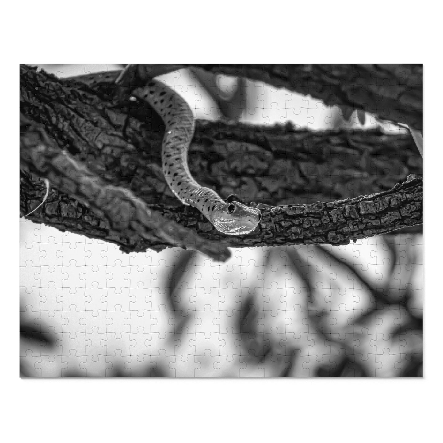 Spotted Bush Snake Puzzle with Tin B&W 14" × 11" (252 pcs)