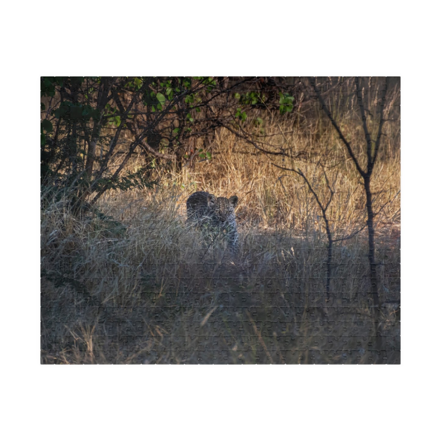 Leopard Cub Photo Jigsaw Puzzle