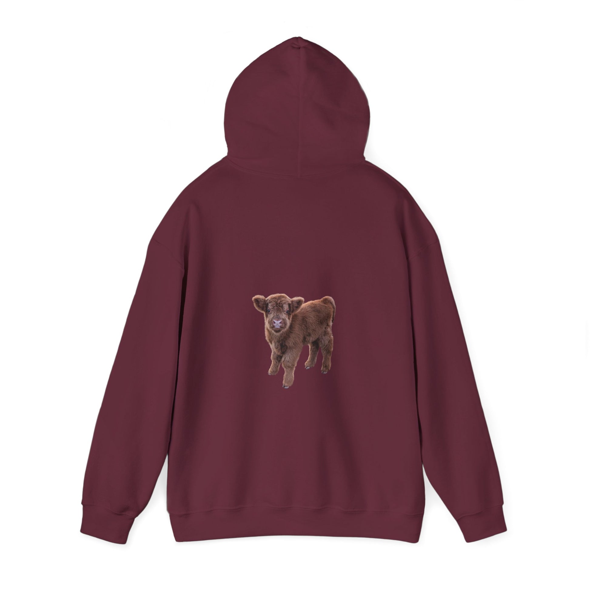 Highland Calf Hoodie