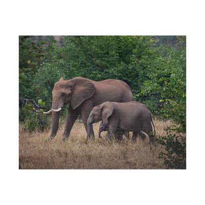 Puzzle (110, 252, 520, 1014-piece) - Elephant Family