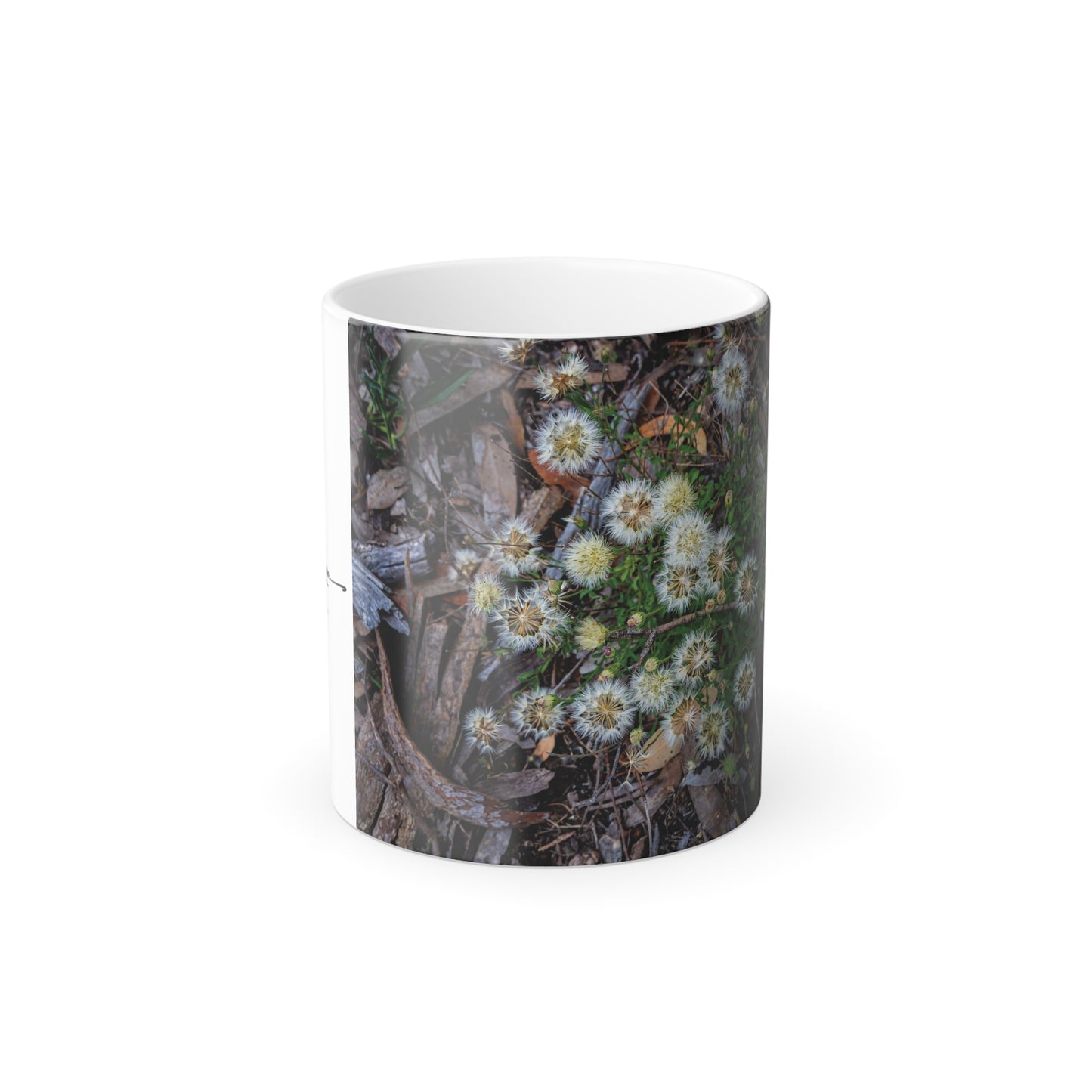 Colour Morphing Mug, 11oz - Australian Wildflower Collection