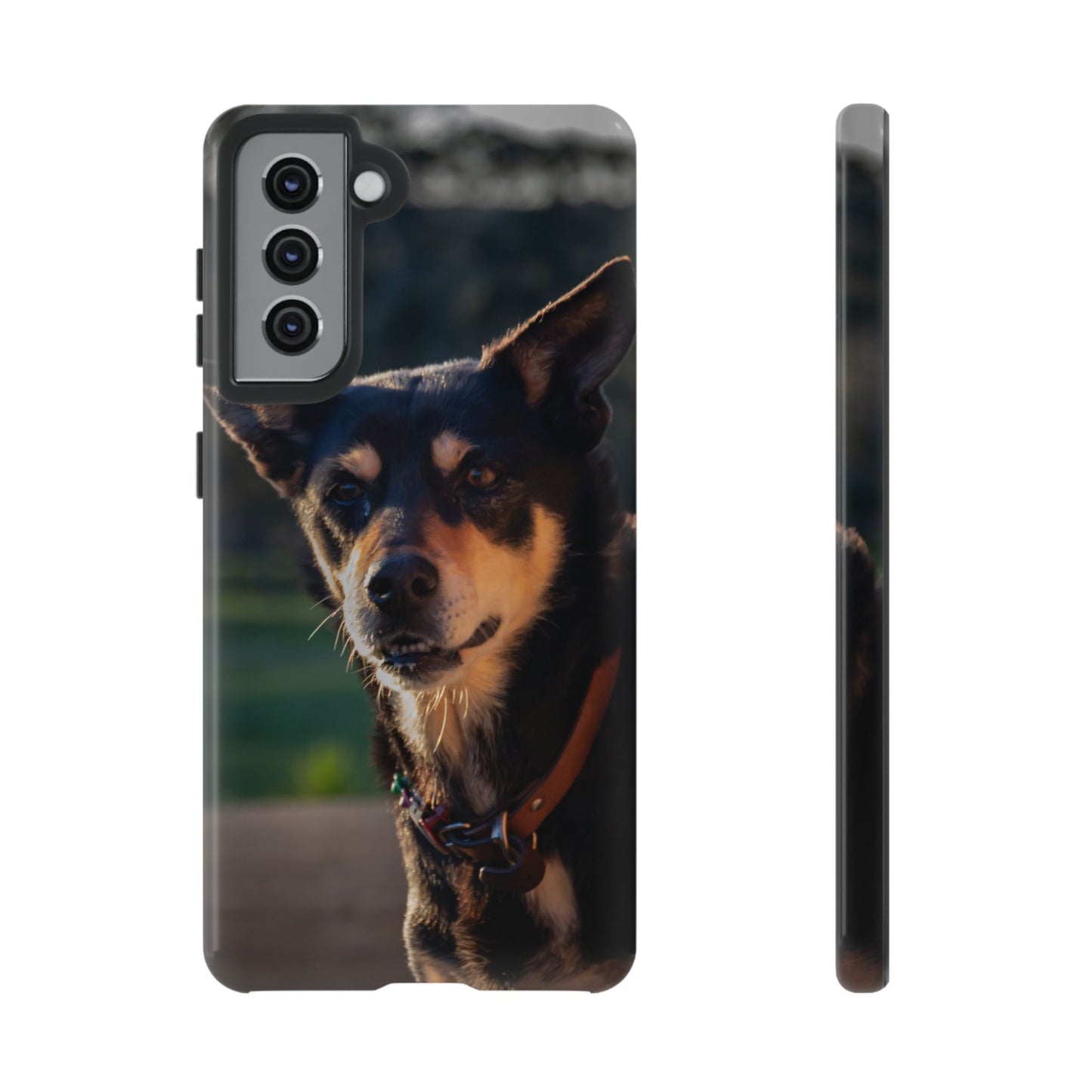 Tough Case - Saba the Kelpie Samsung Galaxy S21 Glossy