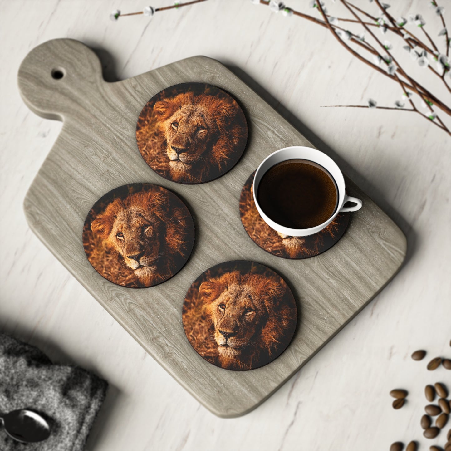 Male Lion Coasters