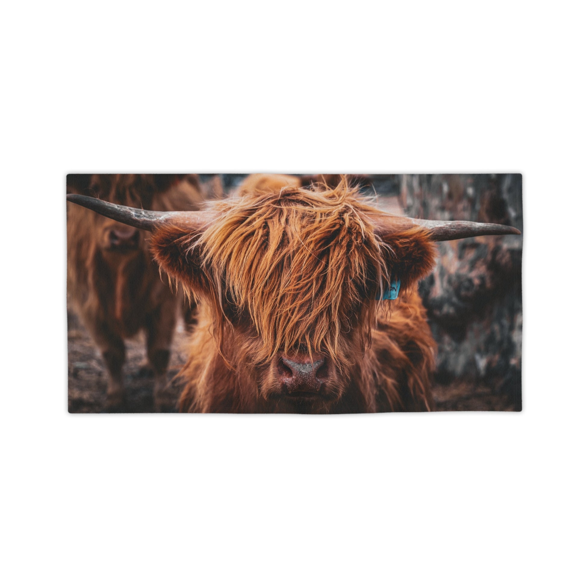 Scottish Highland Beach Towels