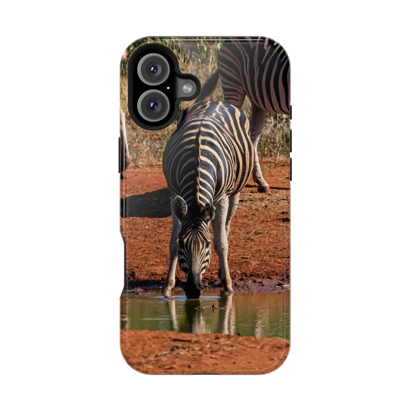 Magsafe® Compatible Tough Cases - Zebra Drinking iPhone 16 Plus Glossy