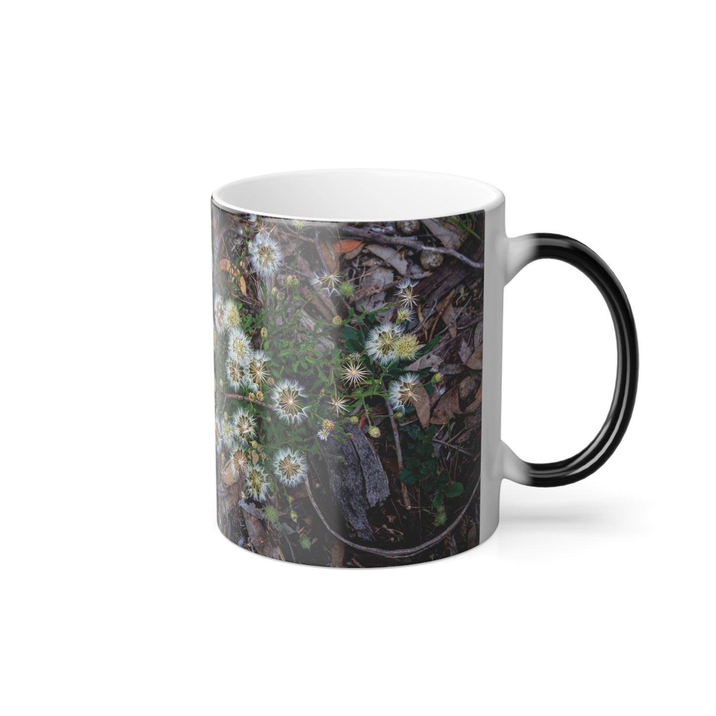 Colour Morphing Mug, 11oz - Australian Wildflower Collection