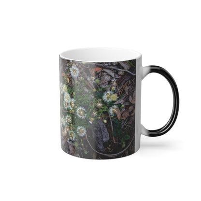 Colour Morphing Mug, 11oz - Australian Wildflower Collection