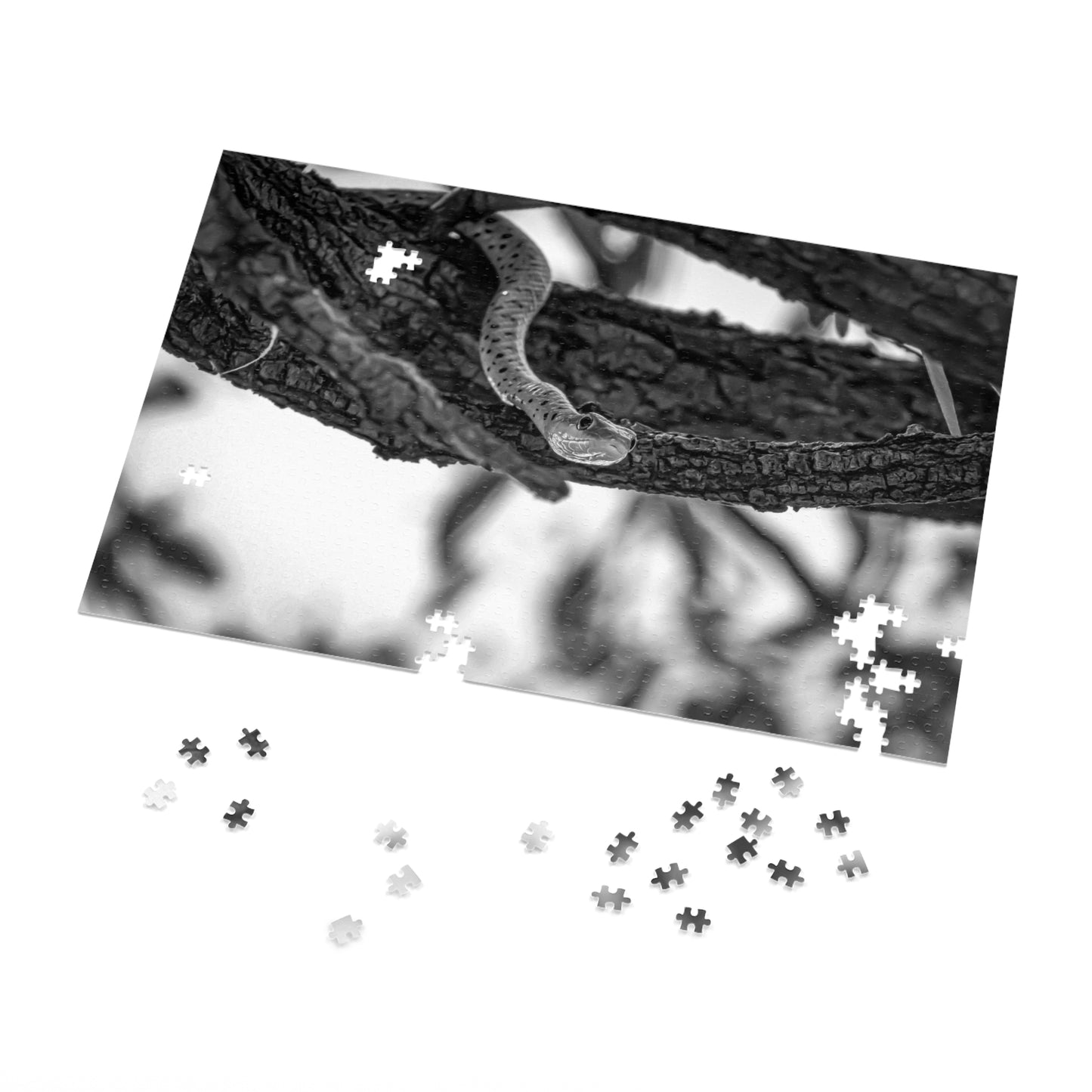 Spotted Bush Snake Puzzle with Tin B&W