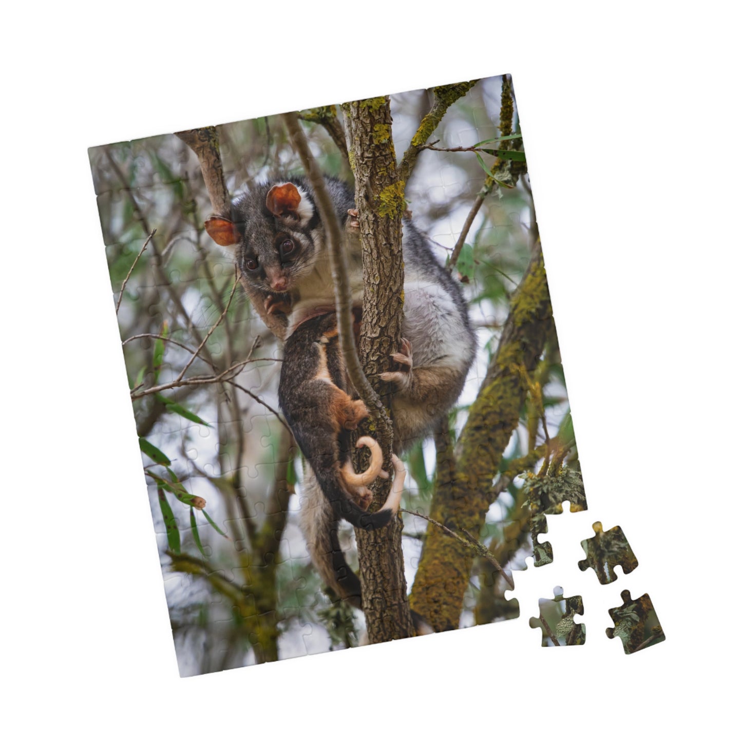 Puzzle (110, 252, 520, 1014-piece) - Possum and Joeys