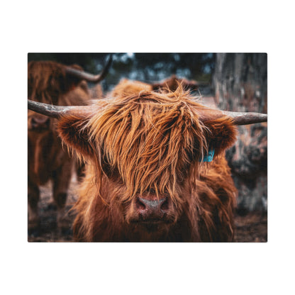 Scottish Highland Cattle Puzzle with Tin 10" × 8" (110 pcs)