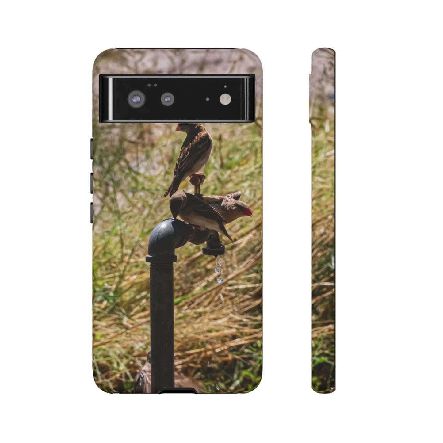 Tough Case - Birds at A Dripping Tap Google Pixel 6 Matte