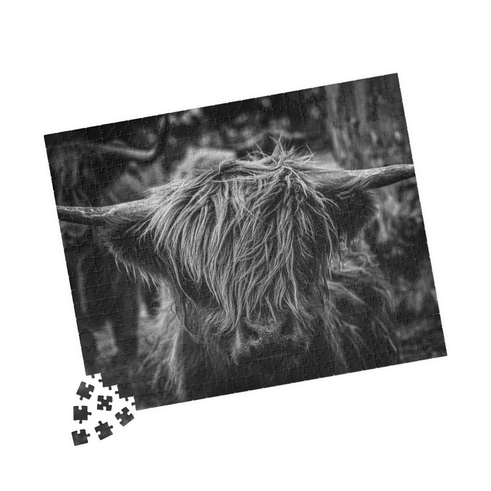 Scottish Highland Cattle Puzzle B&W