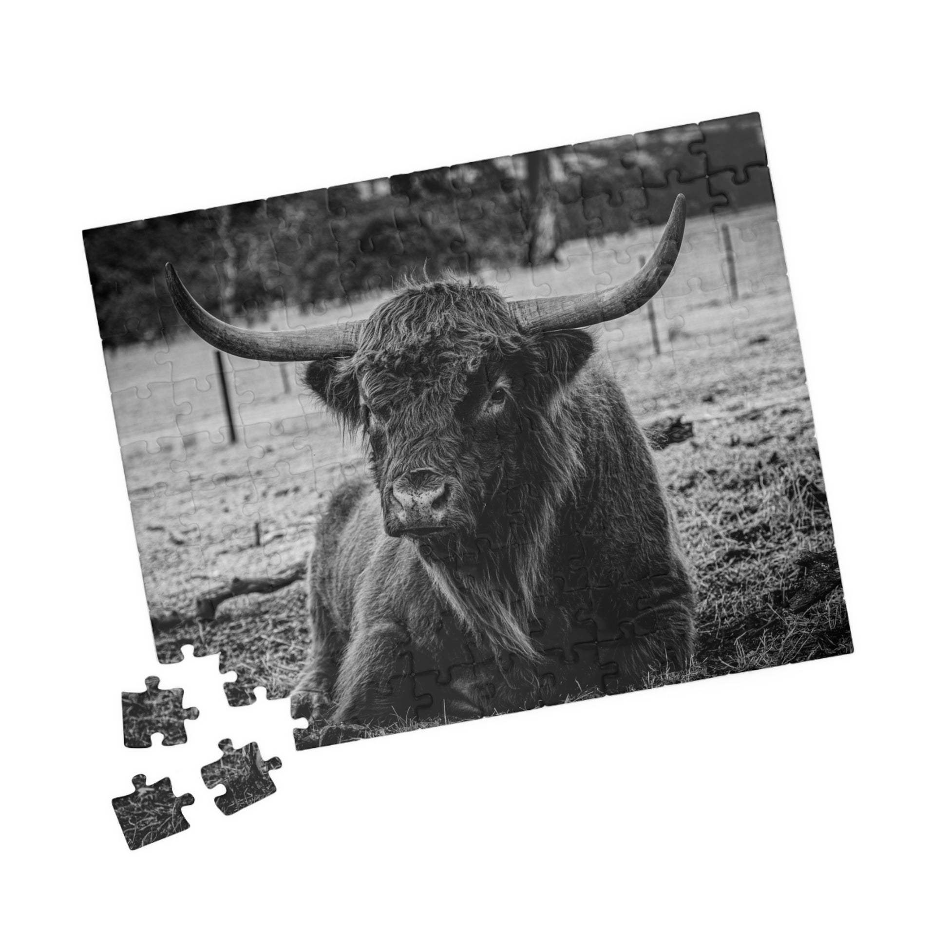 Scottish Highland Cattle Puzzle B&W