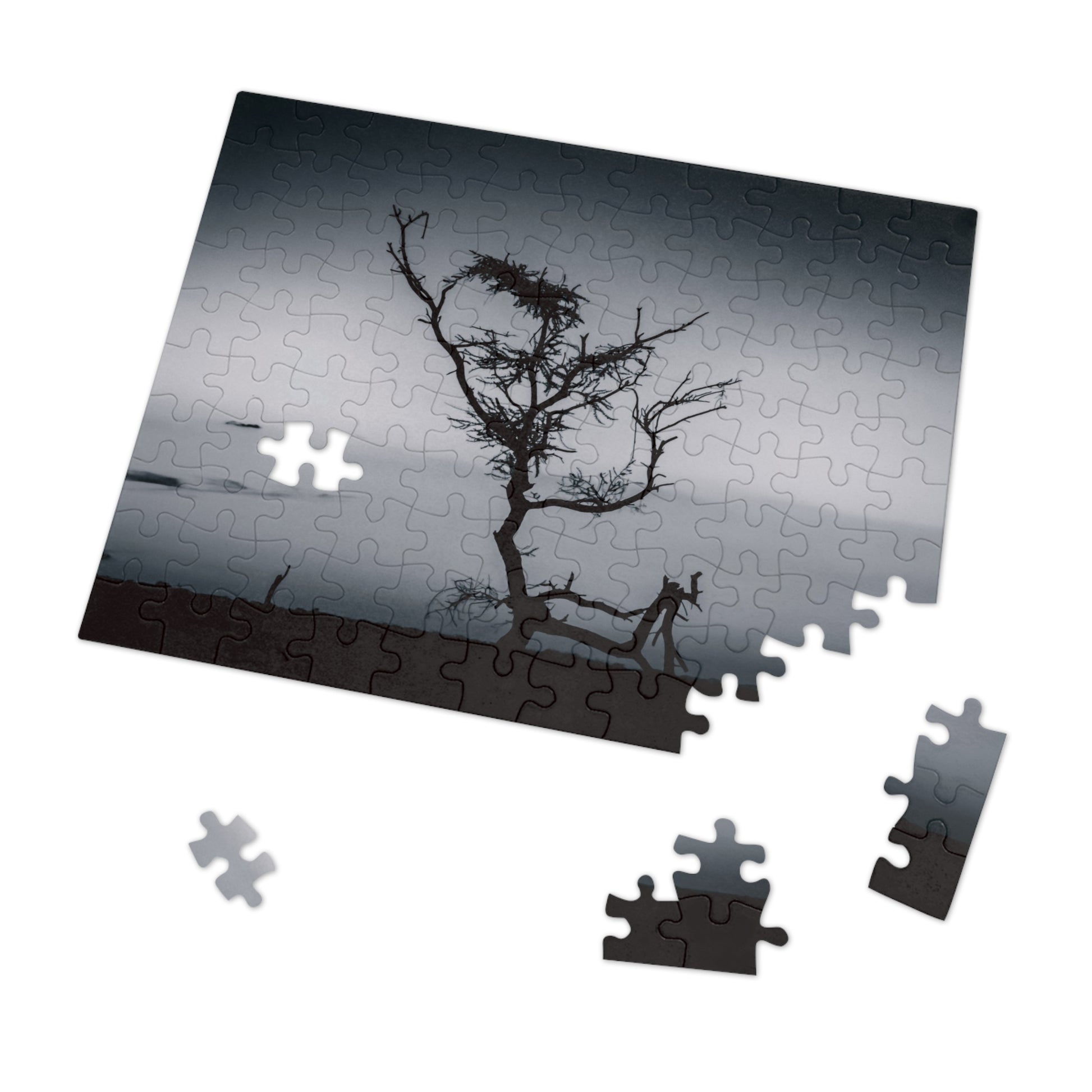 Kalahari Sunset Jigsaw Puzzle with Tin B&W