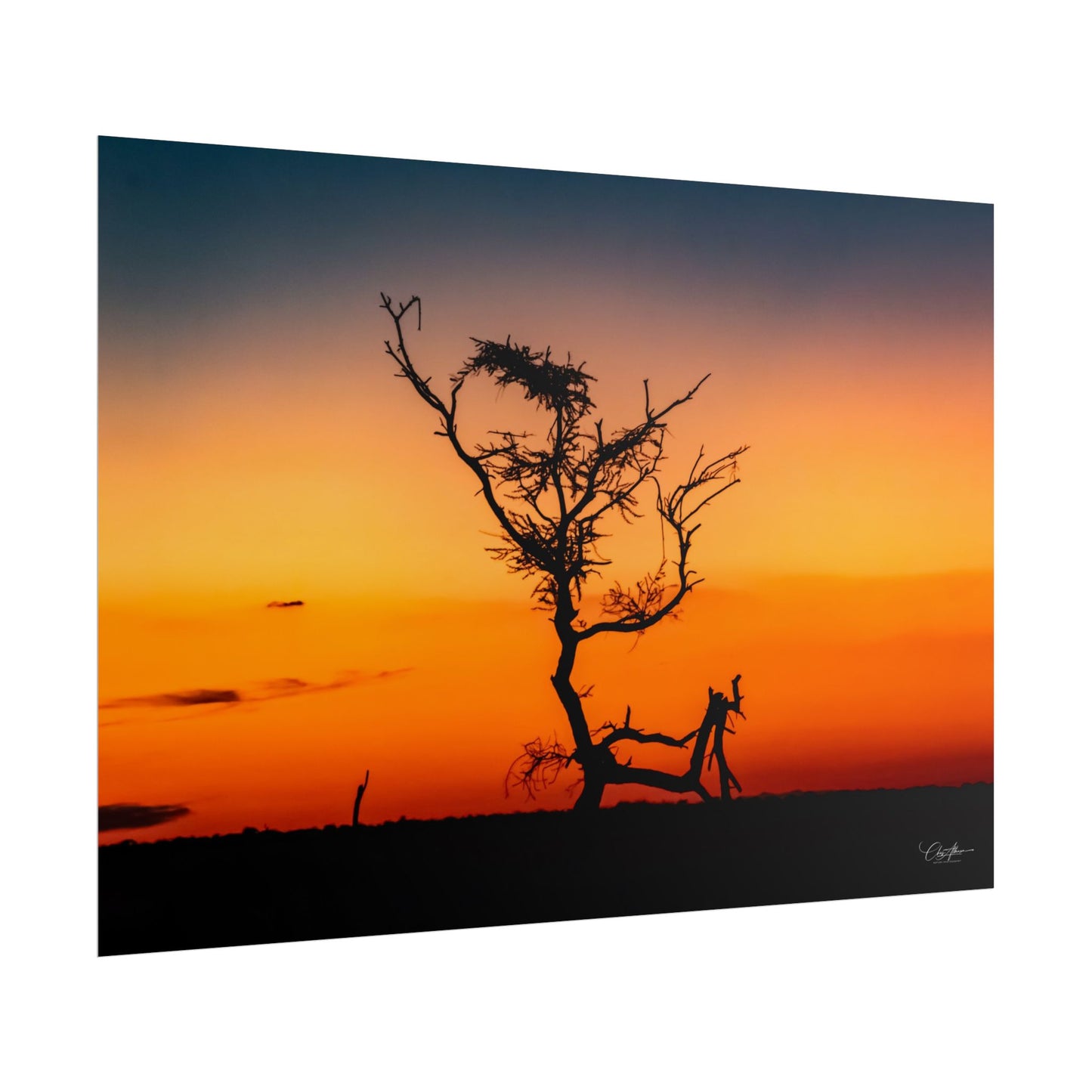 Rolled Posters - Sunset over the Kalahari