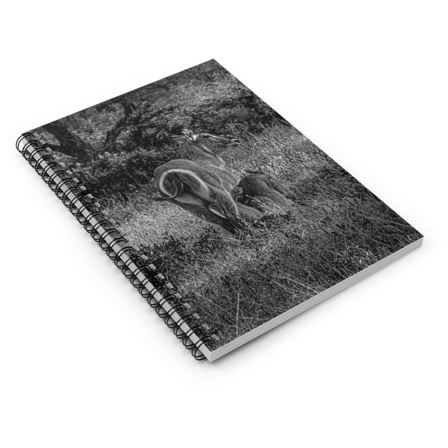 Waterbuck Baby Animal Notebook B&W