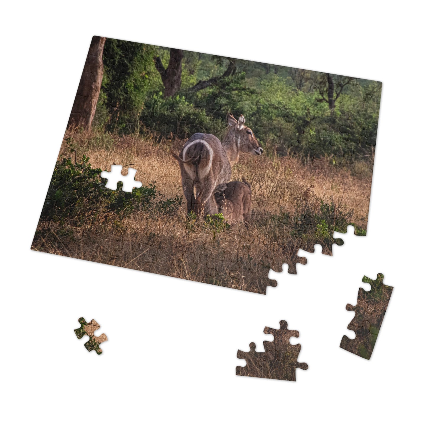 Jigsaw Puzzle (30, 110, 252, 500, 1000 Piece) - Waterbuck and Baby