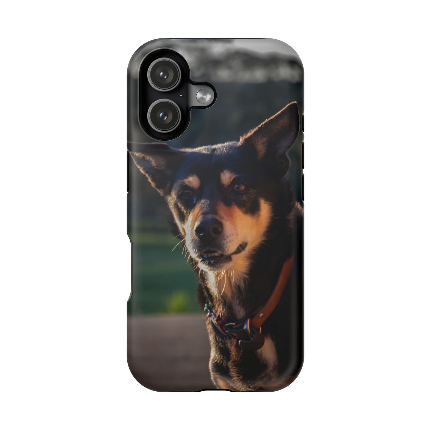 Magsafe® Compatible Tough Cases - Saba The Kelpie iPhone 17 Matte