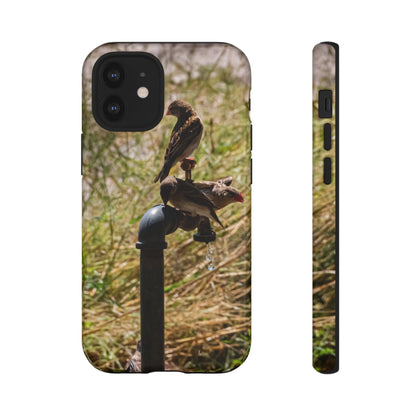 Tough Case - Birds at A Dripping Tap iPhone 12 Mini Glossy