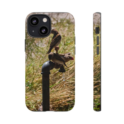 Tough Case - Birds at A Dripping Tap iPhone 13 Mini Matte