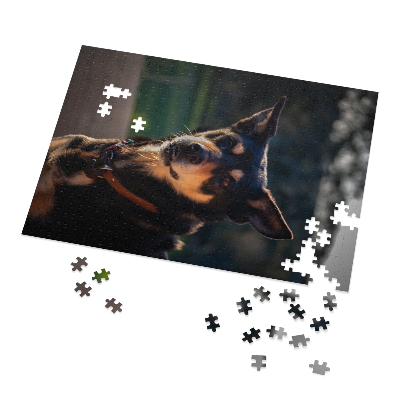 Jigsaw Puzzle (30, 110, 252, 500 Piece) - Saba the Kelpie