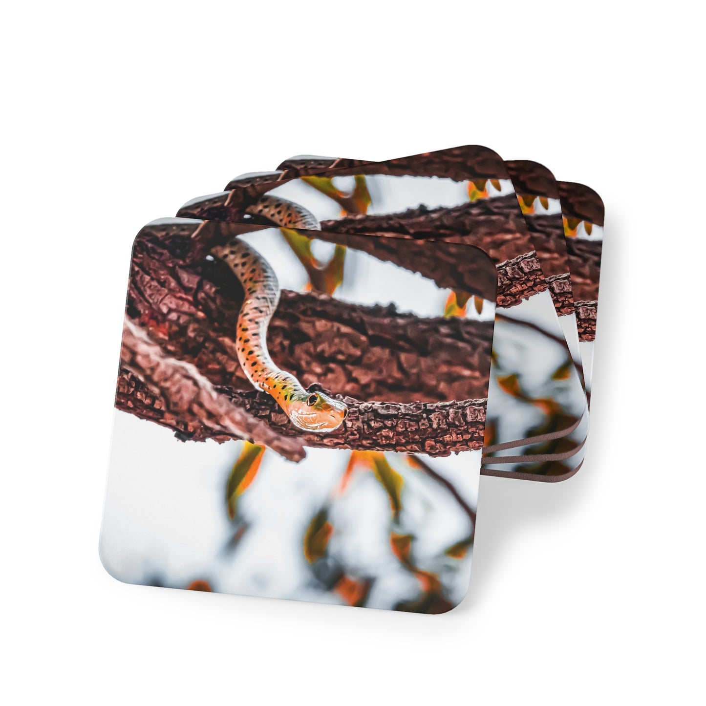 Spotted Bush Snake Coasters Square 3.7" x 3.7" 4pcs