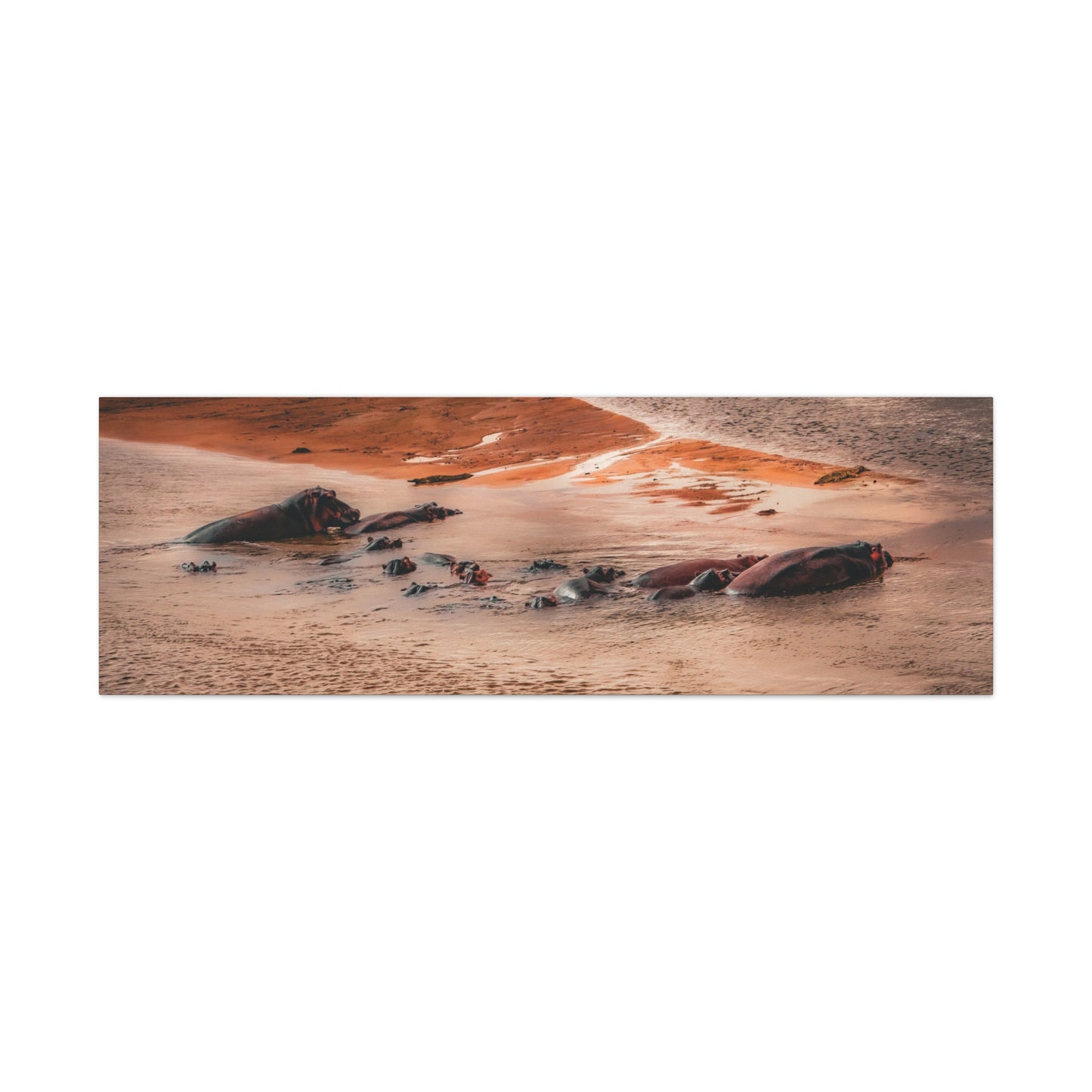 Canvas Wall Art 60" x 20" (Horizontal) 1.18"