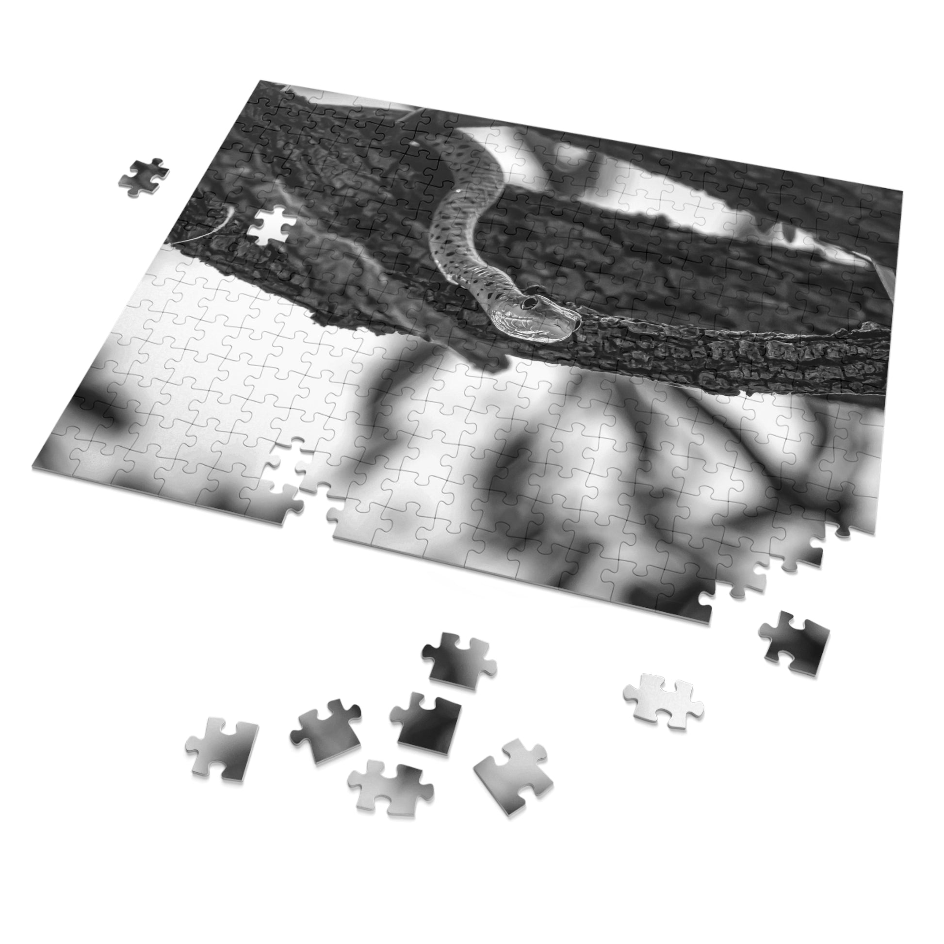 Spotted Bush Snake Puzzle with Tin B&W