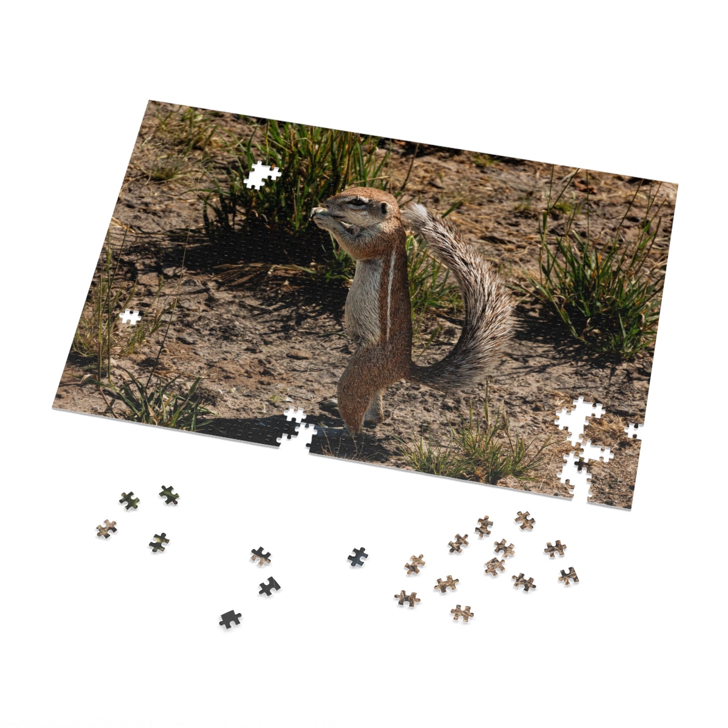 Jigsaw Puzzle (30, 110, 252, 500, 1000 Piece) - Ground Squirrel