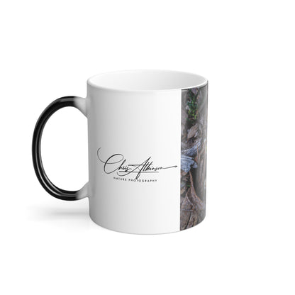 Colour Morphing Mug, 11oz - Australian Wildflower Collection