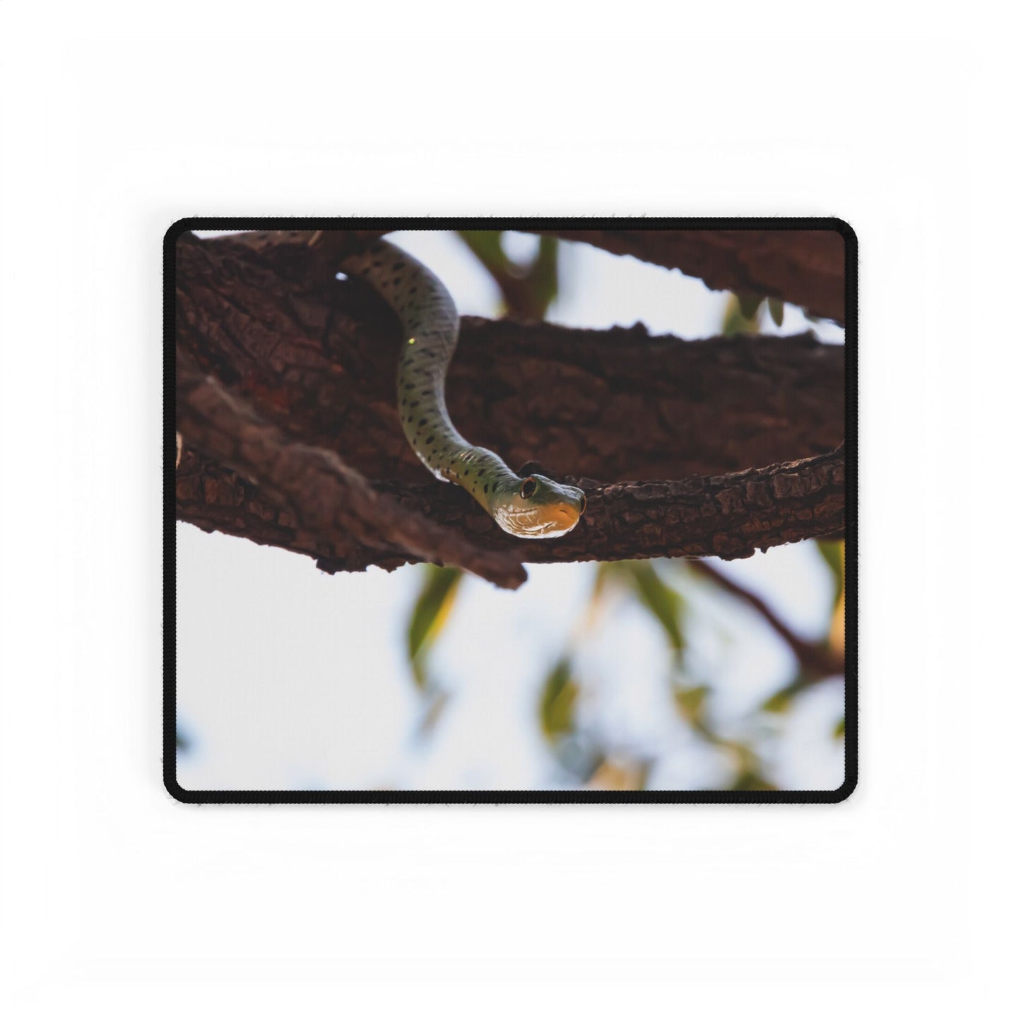 Desk Mats - Spotted Bush Snake