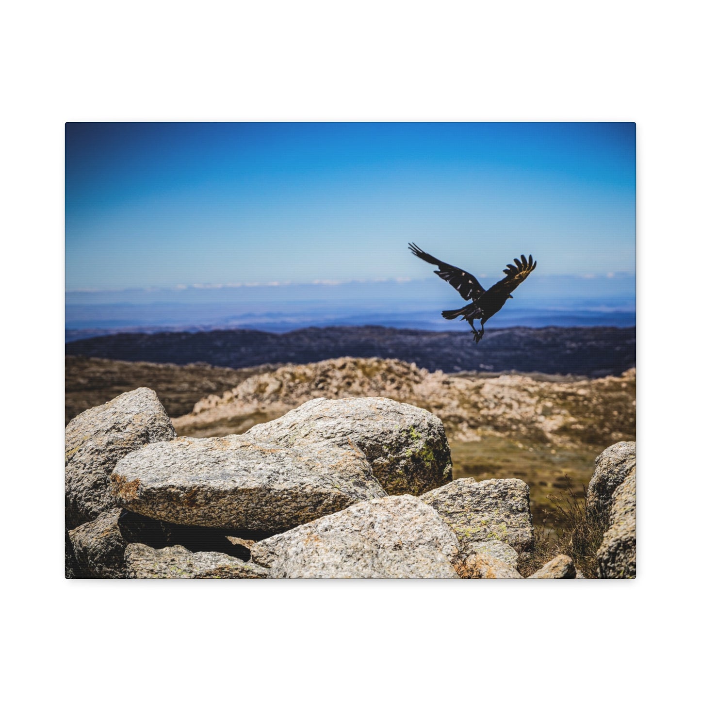 Little Raven Mt Kosciuszko Canvas Print 20″ x 16″ (Horizontal) 1.25"