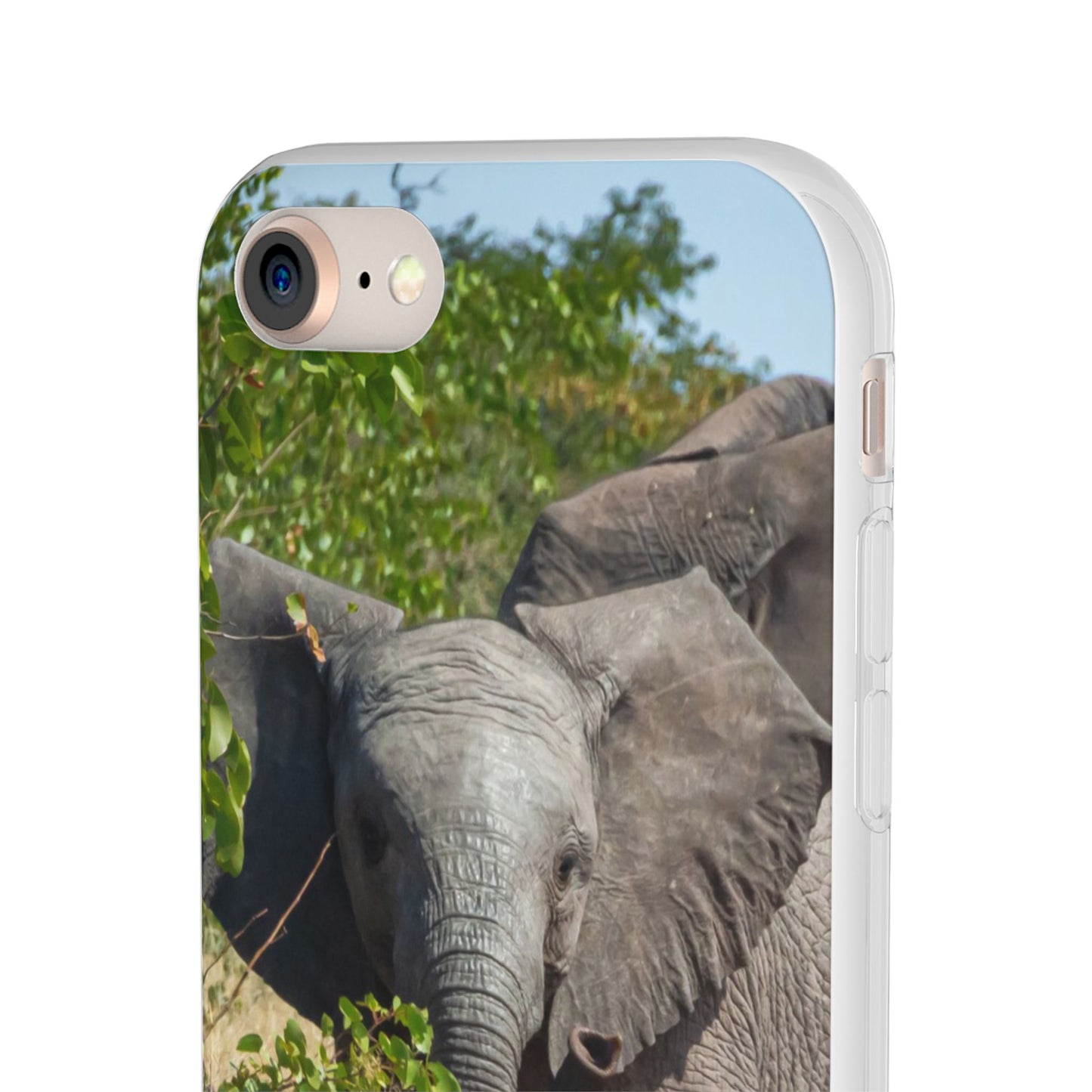 Flexi Cases - Young Elephant