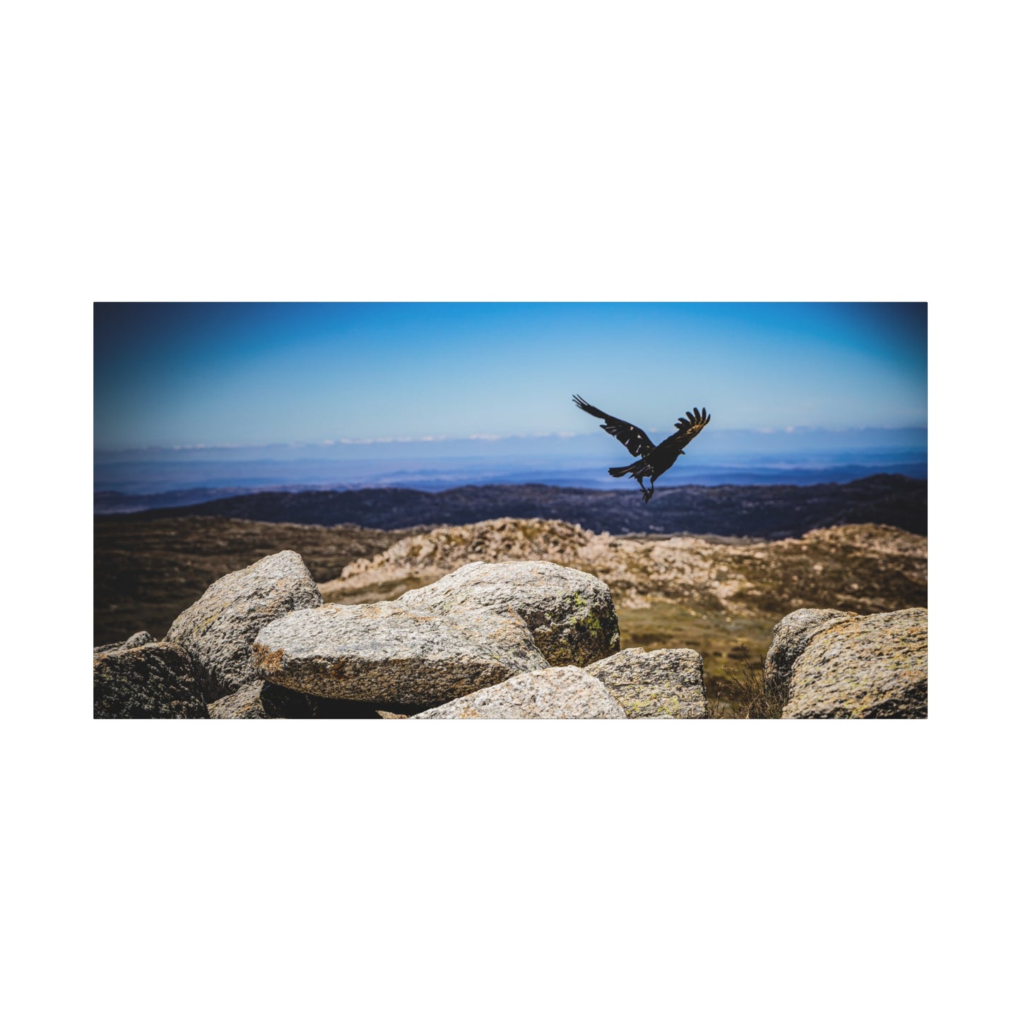 Little Raven Mt Kosciuszko Canvas Print 60" x 30" (Horizontal) 1.25"