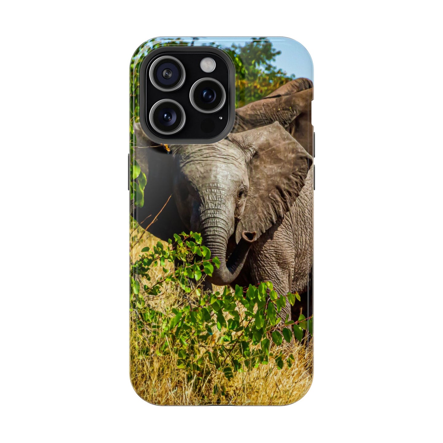 Magsafe® Compatible Tough Cases - Young Elephant iPhone 15 Pro Max Glossy