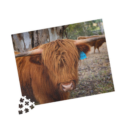 Puzzle (110, 252, 520, 1014-piece) - Scottish Highland Cattle