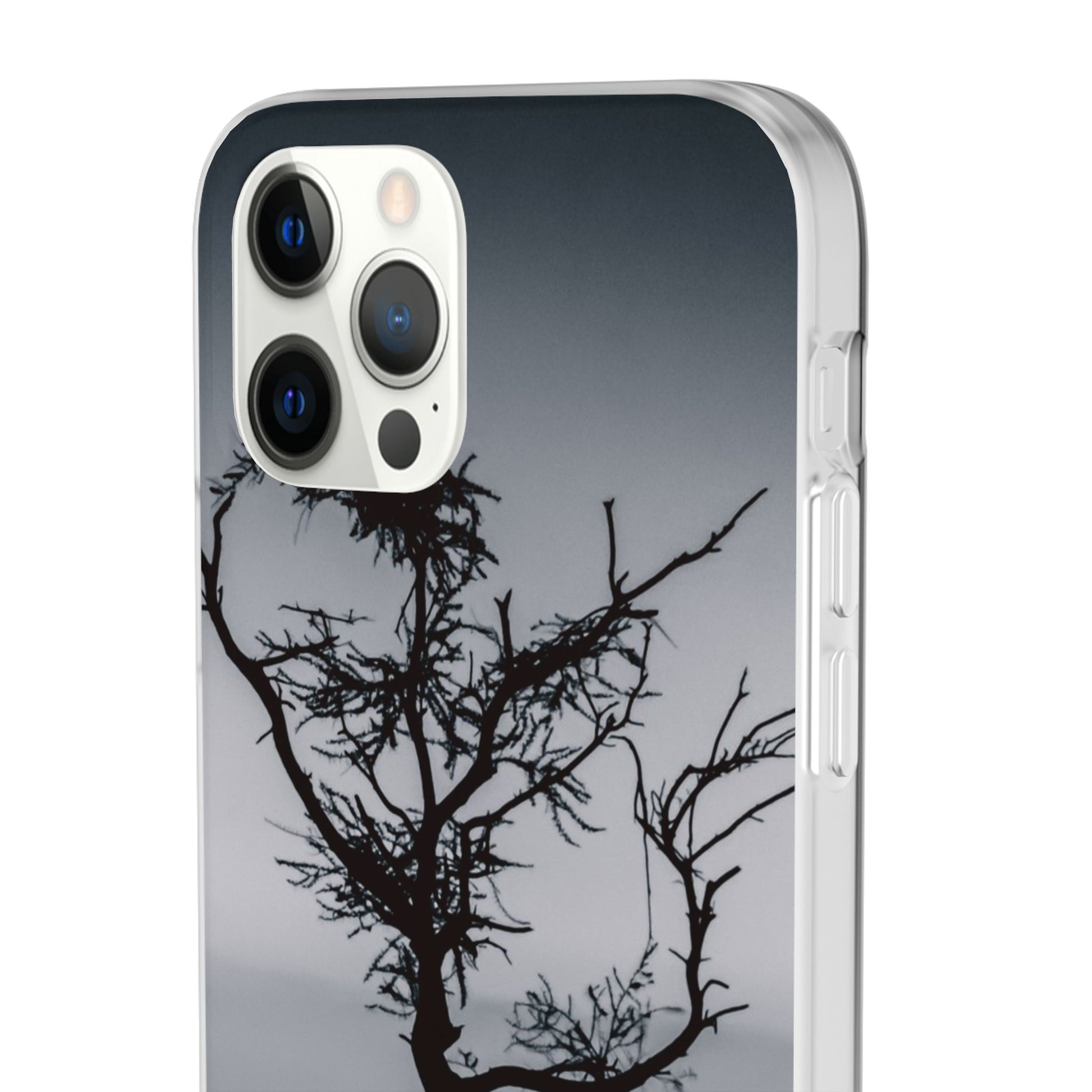 Kalahari Sunset Phone Case B&W