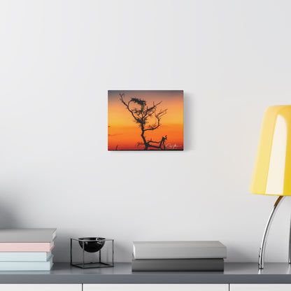 Matte Canvas, Stretched, 1.25" - Sunset over the Kalahari