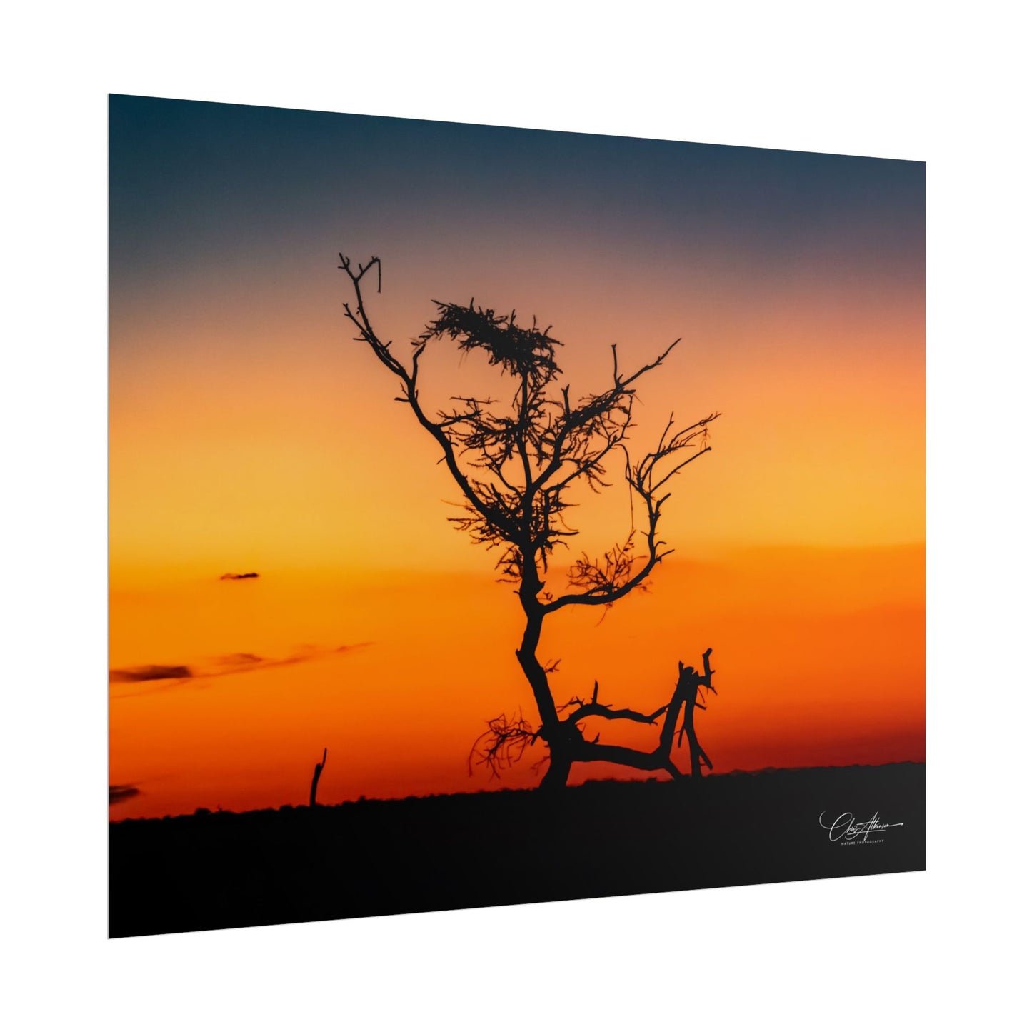 Rolled Posters - Sunset over the Kalahari