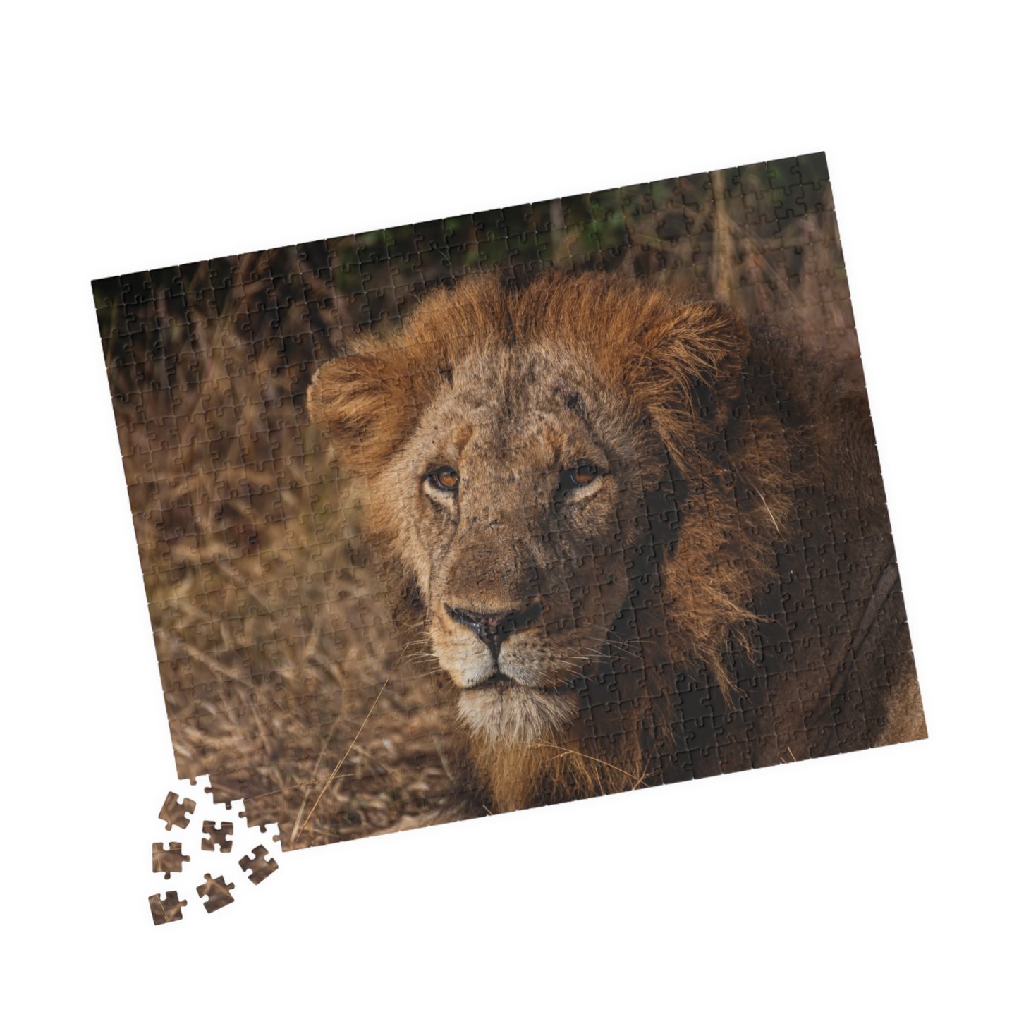 Puzzle (110, 252, 520, 1014-piece) - Old Lion