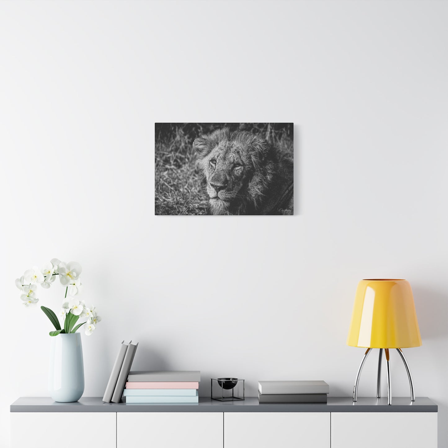 Old Lion Canvas Print B&W