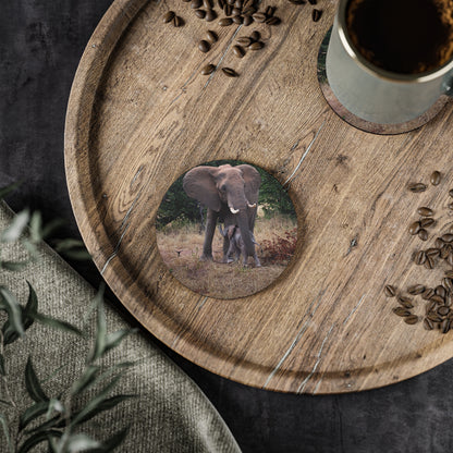 Calf Drinking Elephant Coasters