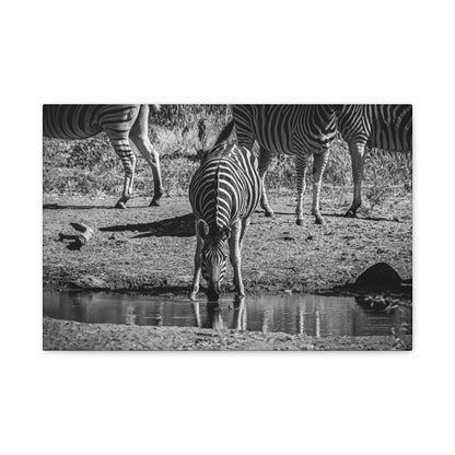 Zebra Nature Print Canvas Print B&W 18″ x 12″ (Horizontal) 1.25"