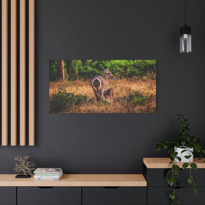 Waterbuck Nature Prints Matte Canvas