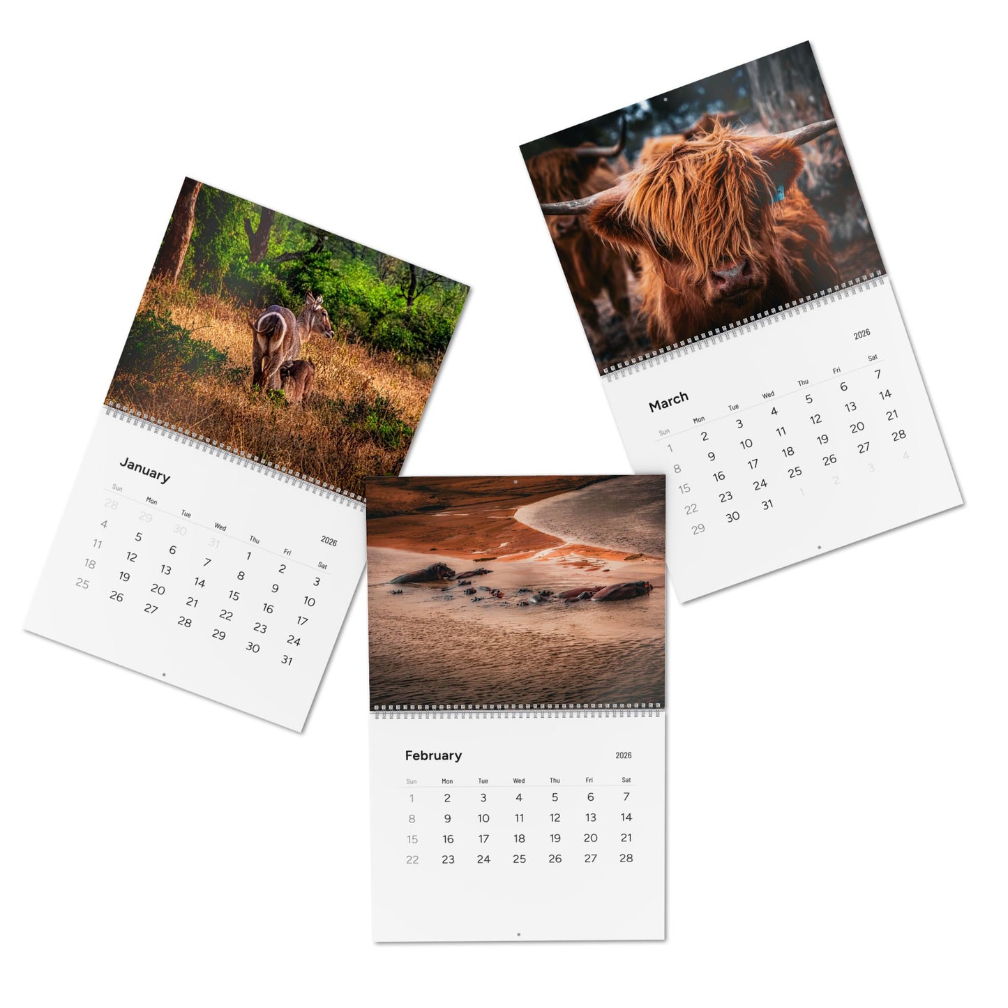 2026 Nature Wildlife Wall Calendar