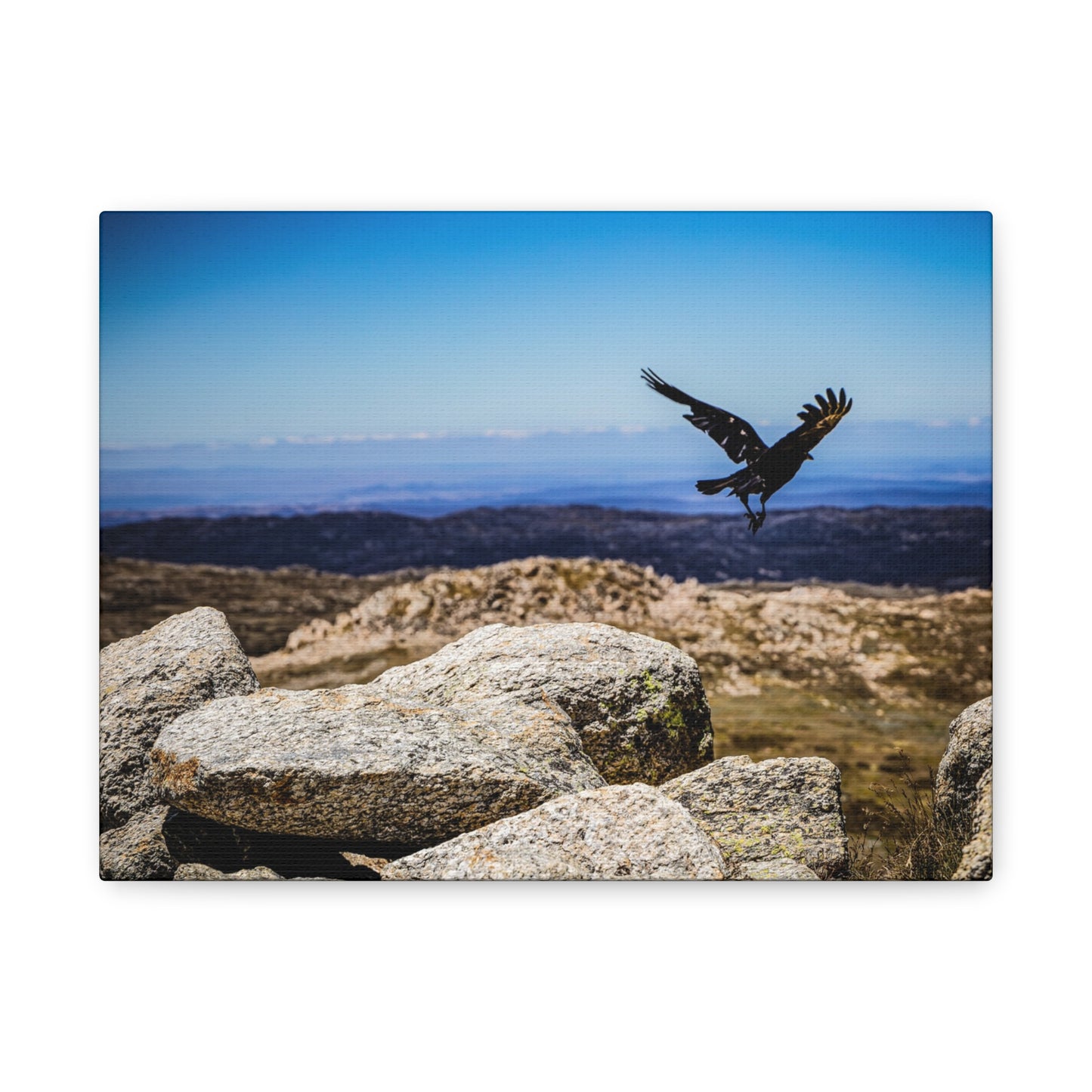 Little Raven Mt Kosciuszko Canvas Print 12" x 9" (Horizontal) 1.25"