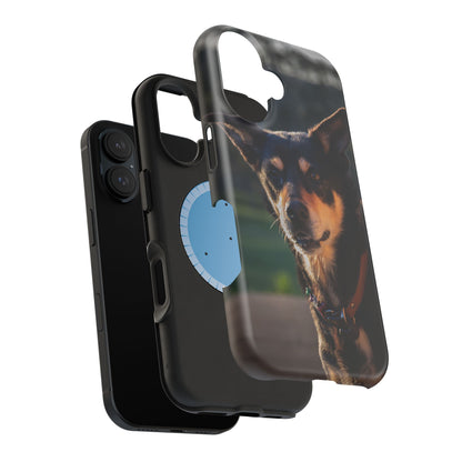 Magsafe® Compatible Tough Cases - Saba The Kelpie